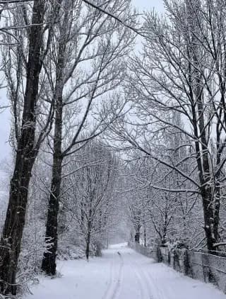 Calle junto al apartamento El Encanto de Benasque